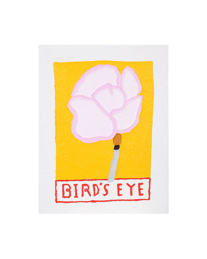 Bird&#039;s eye, 2023