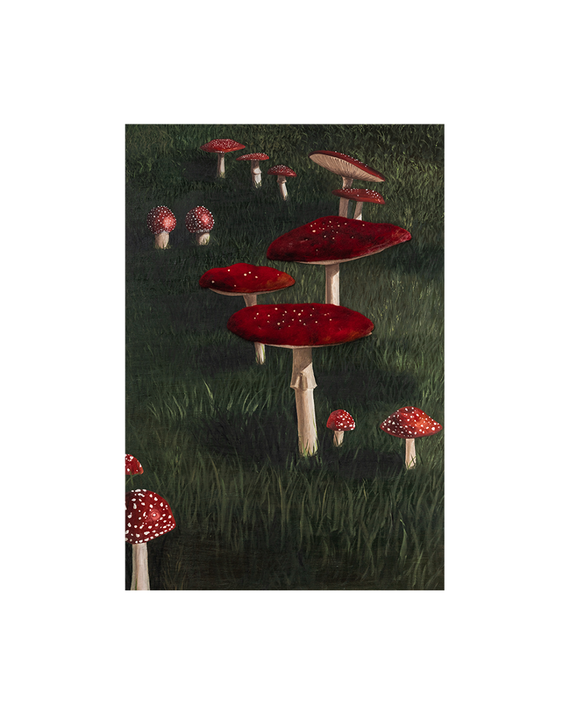 Mushroom, 2023